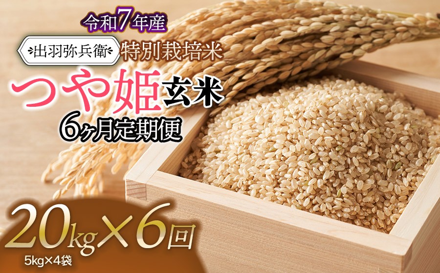 
                  【令和7年産】【定期便6ヶ月】特別栽培米 つや姫 【玄米】 20kg（5kg×4袋）×6回　山形県鶴岡市産　出羽弥兵衛　| お米 米 コメ こめ ライス つやひめ 20キロ ご飯 ブランド米 国産 主食 お取り寄せ 返礼品
                