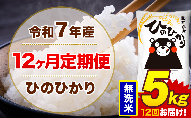 【12ヶ月定期便】令和7年産 無洗米 5kg 米 ひのひかり《お申込み月の翌月から出荷開始》熊本県 菊池市 国産 熊本県産 白米 精米 無洗米 送料無料 ヒノヒカリ こめ お米