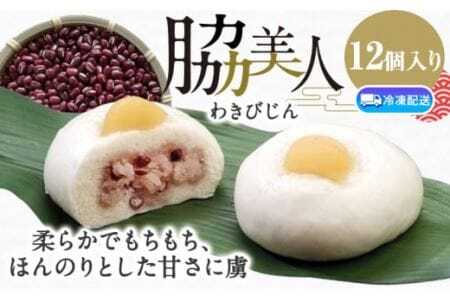 和菓子 饅頭 まんじゅう 脇美人 12個入り≪90日以内出荷予定≫  川田光栄堂 徳島県 美馬市 赤飯 小豆 栗 栗饅頭 栗まんじゅう くりまんじゅう 送料無料