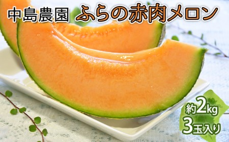 【2026年7月～発送】北海道 富良野市 ふらの赤肉 メロン 2kg×3玉 (中島農園) メロン フルーツ 果物 新鮮 甘い 贈り物 ギフト 道産 ジューシー おやつ ふらの ブランド 夏 