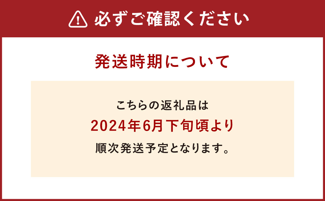 環境マイスターの【ワケあり】アップルマンゴー 1kg