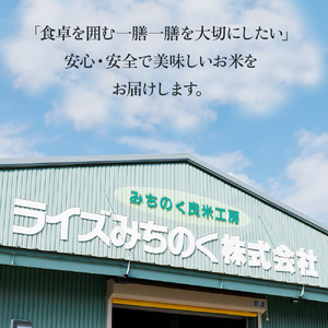 令和6年産 新米 ひとめぼれ 10kg（2㎏×5袋）米 お米 ブランド米 精米 白米   産地直送 国産 送料無料 岩手県 北上市 F0126 ライズみちのく