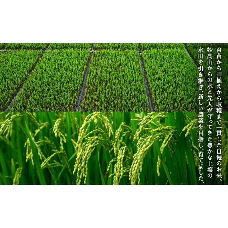 先行予約 新米 令和8年 新潟県 上越産 こしいぶき 5kg 5キロ 和泉 ワイズファーム 上越市 精米 米 ギフト 喜ばれる