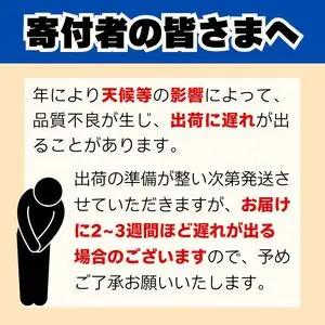 【不知火】3kg みかん職人武田屋直送不知火 訳あり