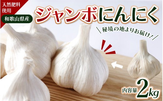 秘境の地からお届けする あゆみファームのご家庭用ジャンボにんにく 2kg【2026年7月下旬から順次発送】/ にんにく ニンニク ジャンボにんにく 予約受付 ガーリック 和歌山【aym010】