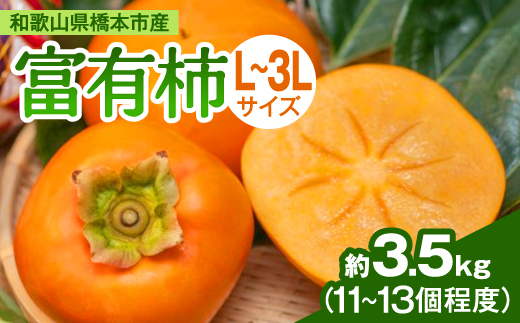 柿【2026年度発送分】ケーズファーム 富有柿 L～3Lサイズ 11～13個入 約3.5kg