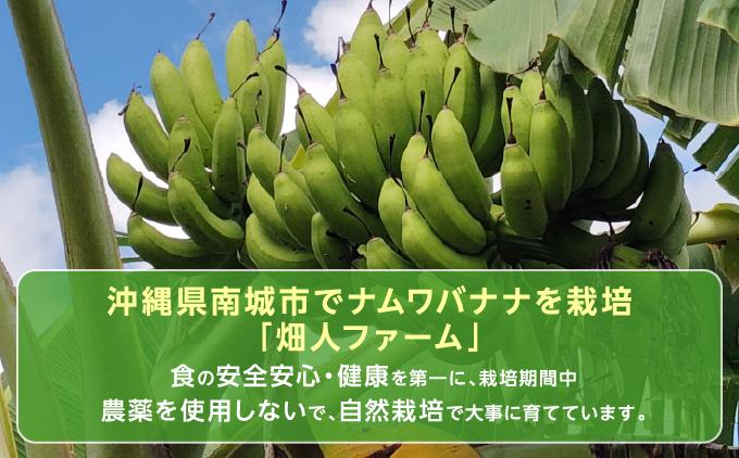 ナムワバナナ　1kg 1kg/通常配送