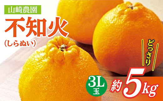 
            【数量限定】コクのある甘みとさわやかな酸味 不知火 しらぬい 約 5kg 3L玉 【３月末頃から順次発送】| 山崎農園の不知火（しらぬい） ３Ｌ玉 約５ｋｇ _b-398
          