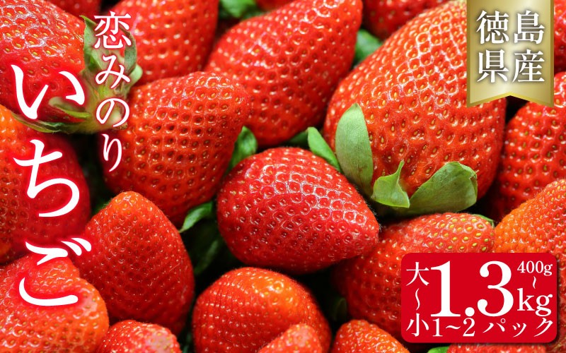 
            いちご 400g 800g 1.3kg 選べる 容量 苺 イチゴ 先行予約 果物 フルーツ 恋みのり ストロベリー ジャム スムージー 期間限定 洋菓子 家族 子ども フルーツサンド フルーツ大福 いちご大福 苺大福 ケーキ アイス シャーベット 人気 オススメ お取り寄せ グルメ いちごはうす 近藤 民宿 農家民宿 みよし 徳島 三好
          