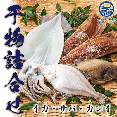 ふるさと納税 宮津市 やまいち自慢の干物詰め合わせセット　【冷凍】