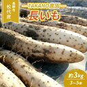 先行予約 長野市松代産 TAKANO農園　長いも 約3kg【3～5本】　【 野菜 根菜 長野県産 ネバネバ シャキシャキ とろろご飯 具材 食材 国産 】　お届け：2023年11月中旬～2024年4月上旬