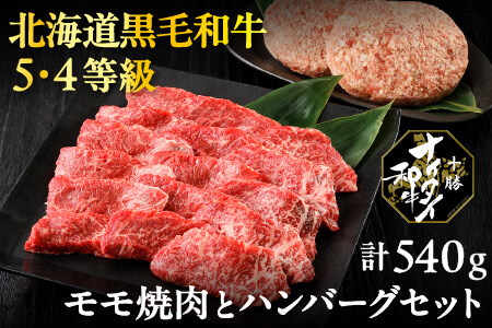 北海道　和牛肉　5・4等級　冷凍ハンバーグ｜十勝ナイタイ和牛　モモ焼肉とハンバーグセット＜計540g＞　［016-N62］　※オンライン申請対応