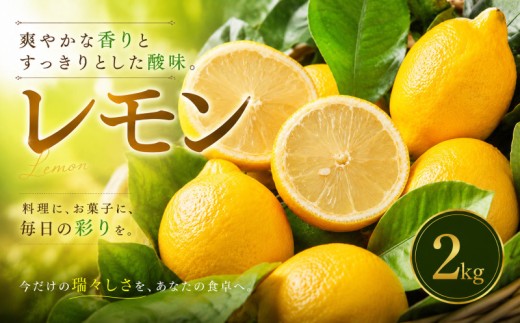 【選び抜いた一箱】 香り際立つ 【レモン】 2kg 愛媛県産 【2027年1月中旬頃から順次発送】 | れもん レモン lemon 檸檬 訳あり フルーツ 柑橘 果物 おすすめ お勧め お取り寄せ ギフト 愛媛県 松山市