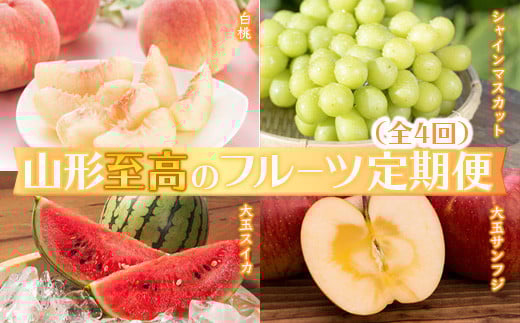 《2026年発送先行予約》山形至高のフルーツ定期便（全4回）  もも モモ 桃 デザート フルーツ 果物 くだもの 果実 食品 山形県 FSY-2597
