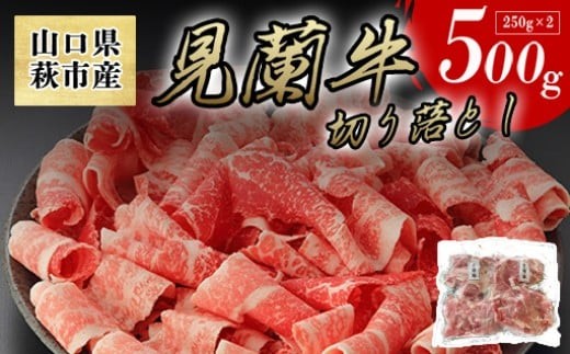 【数量限定】山口県萩市産 見蘭牛 切り落とし 500g (250g×2)国産  肉 お肉 牛　｜HG000068