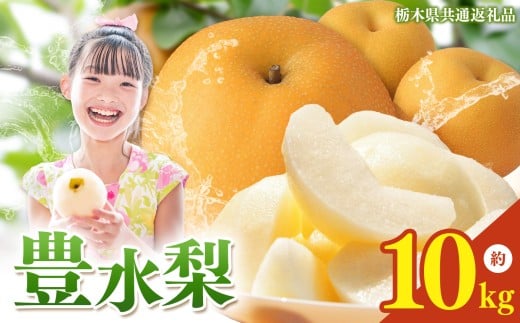 栃木県産 梨 豊水 10kg 【2026年先行予約】| ほうすい なし ナシ 完熟 果物 フルーツ プレゼント ご褒美 お取り寄せ 贈答 おいしい ジューシー 数量 限定 栃木県産 栃木県 真岡市 減農薬 送料無料