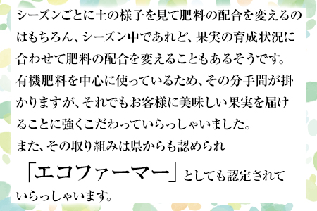先行予約 くまもと梨 約5kg 松田農園 梨