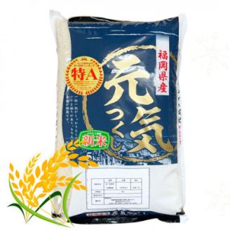 【令和5年産】福岡県産米食べ比べ＜白米＞「夢つくし」と「元気つくし」セット　計10kg芦屋町