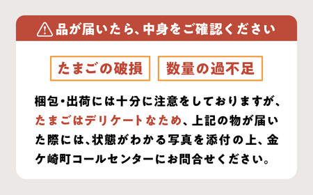 たまご 卵 定期便 3ヶ月 6個入り 6P MS ～ LLサイズ 小分け 燦然 さんぜん 玉子 タマゴ 生たまご 生卵 生玉子 鶏卵 支援 障がい者支援 就労支援 新鮮 お試し たまごかけご飯 岩手県