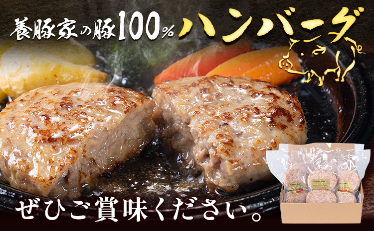 [0.95-307] 養豚家の豚100％ハンバーグセット 120g2枚入りパック×５セット計１０枚 豚肉 肉 厳選 国産 お取り寄せ グルメ おかず おすすめ スマイル ポーク 加工品 惣菜 簡単 冷