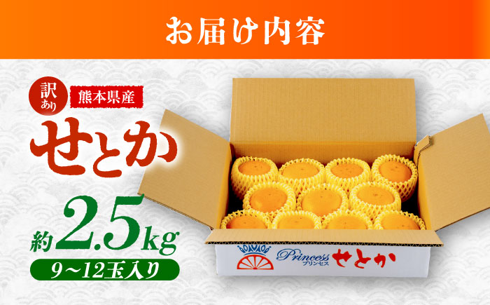 【2026年2月下旬から発送】【訳あり】せとか みかん 家庭用 約2.5kg 果物 フルーツ 【小春農園】 [ZBN007]