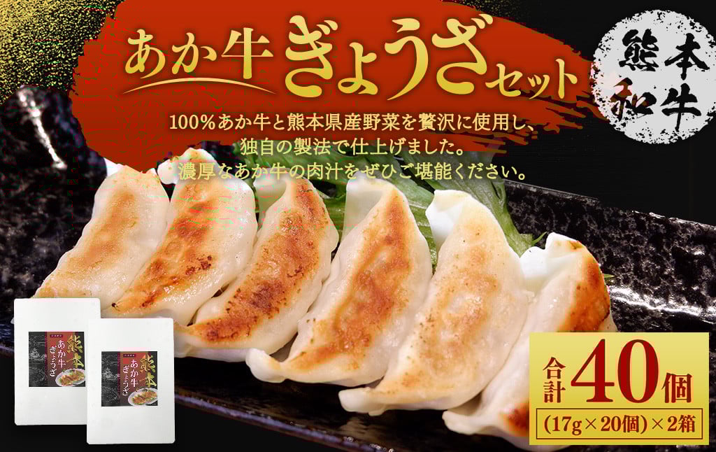 
            熊本和牛あか牛ぎょうざセット(熊本あか牛餃子20個入り×2箱)
          