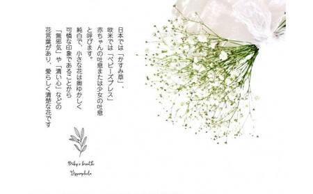 チェリーかすみの花束 かすみ草 カスミソウ 花束 花 誕生日 成人式 卒業祝い 初節句 ひな祭り バレンタイン お返し 結婚 ウエディング 送別 祝い プレゼント 結婚祝い お礼 花束 赤いかすみ草 