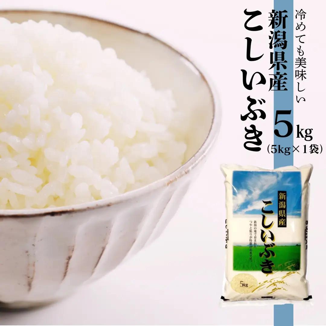 【令和7年産】新潟産 こしいぶき 5kg 白米 精米 米 こめ コメ 1N16011