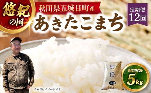 [ 定期1ヶ月毎12回 ] 「 悠紀の国 」 秋田県五城目町産あきたこまち 5kg × 1袋 お米 米 こめ コメ 白米 精米 白飯 飯 ご飯 あきたこまち おにぎり ブランド米 ブランド 国産 秋田県産 定期配送 定期便