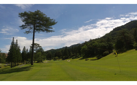 ユーグリーン中津川ゴルフ倶楽部 平日1組4名様 ゴルフプレー券 94-003