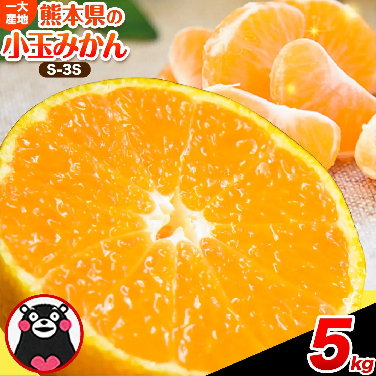  訳あり 小玉みかん  5kg 秋 旬 不揃い 傷 ご家庭用 SDGs たっぷり 熊本県 産 S-3Sサイズ フルーツ 柑橘 《9月下旬-12月下旬頃出荷》