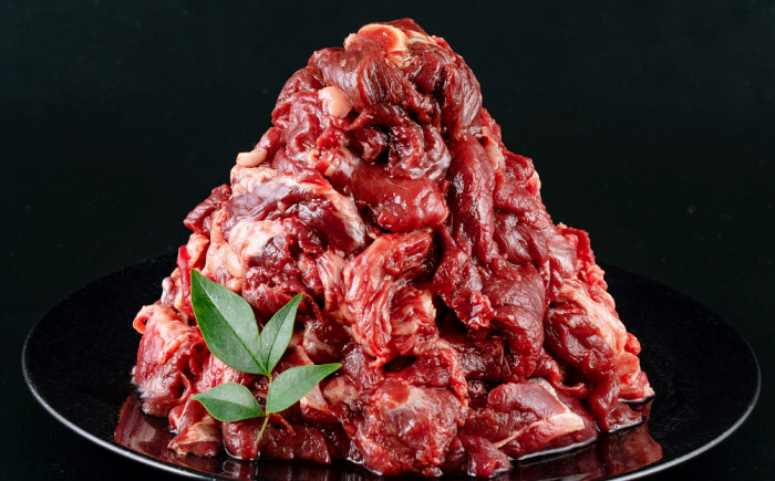 【全6回定期便】馬スジ 1kg (　500g × ２ ) 【合同会社　長岡フーズ】 [ZFR027]