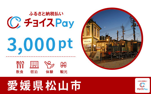 
松山市チョイスPay 3,000pt（1pt＝1円）【会員限定のお礼の品】
