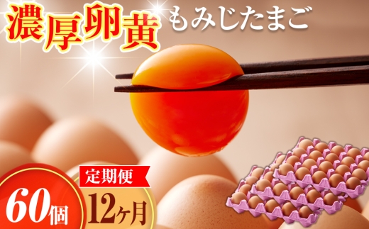 濃厚卵黄もみじたまご【60個入り】【12ヶ月連続】定期便 [No.939] ／ タマゴ 純国産 新鮮 採れたて 岐阜県 特産