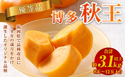 【優等品】福岡県産 博多 秋王 約3.1kg以上 (8玉～12玉入り)【2026年10月上旬～11月下旬発送】 ※北海道・沖縄・離島配送不可