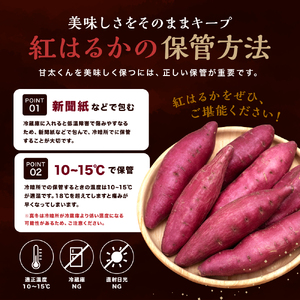 【先行予約・期間限定】大分県産 かんしょ 甘太くん 約 5kg  M・L・2L | さつまいも さつま芋 サツマイモ 芋 いも 紅はるか べにはるか 焼き芋 おやつ ブランド 九州産 国産 大分県 中