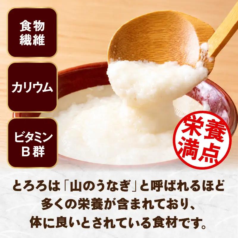 【2ヶ月定期便】冷凍とろろ1キロセット（50g×20袋）　100P075004-02-20【 東北センバ】