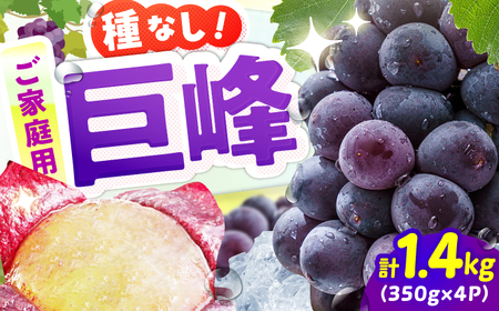 【★先行予約★ 2026年7月下旬より発送】【ご家庭用】種無し巨峰 約350g×4P / ぶどう 巨峰 果物[AFAB086]