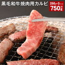 【ふるさと納税】黒毛和牛 焼肉用 カルビ 計750g 250g×3パック 黒樺牛 牛肉 肉 お肉 和牛 焼き肉用 ブランド牛 冷凍 国産 九州 熊本県 宇城市 送料無料