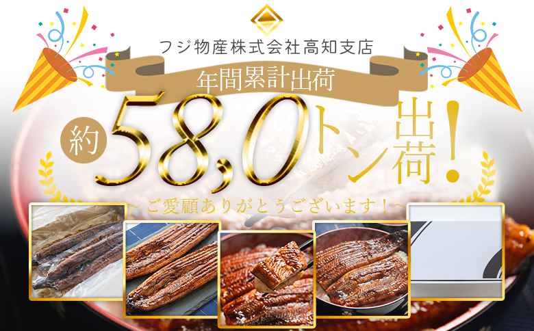 【国産】 うなぎ ２尾 【フジ物産株式会社高知支店（高知県香南市）】 [fb-0139]