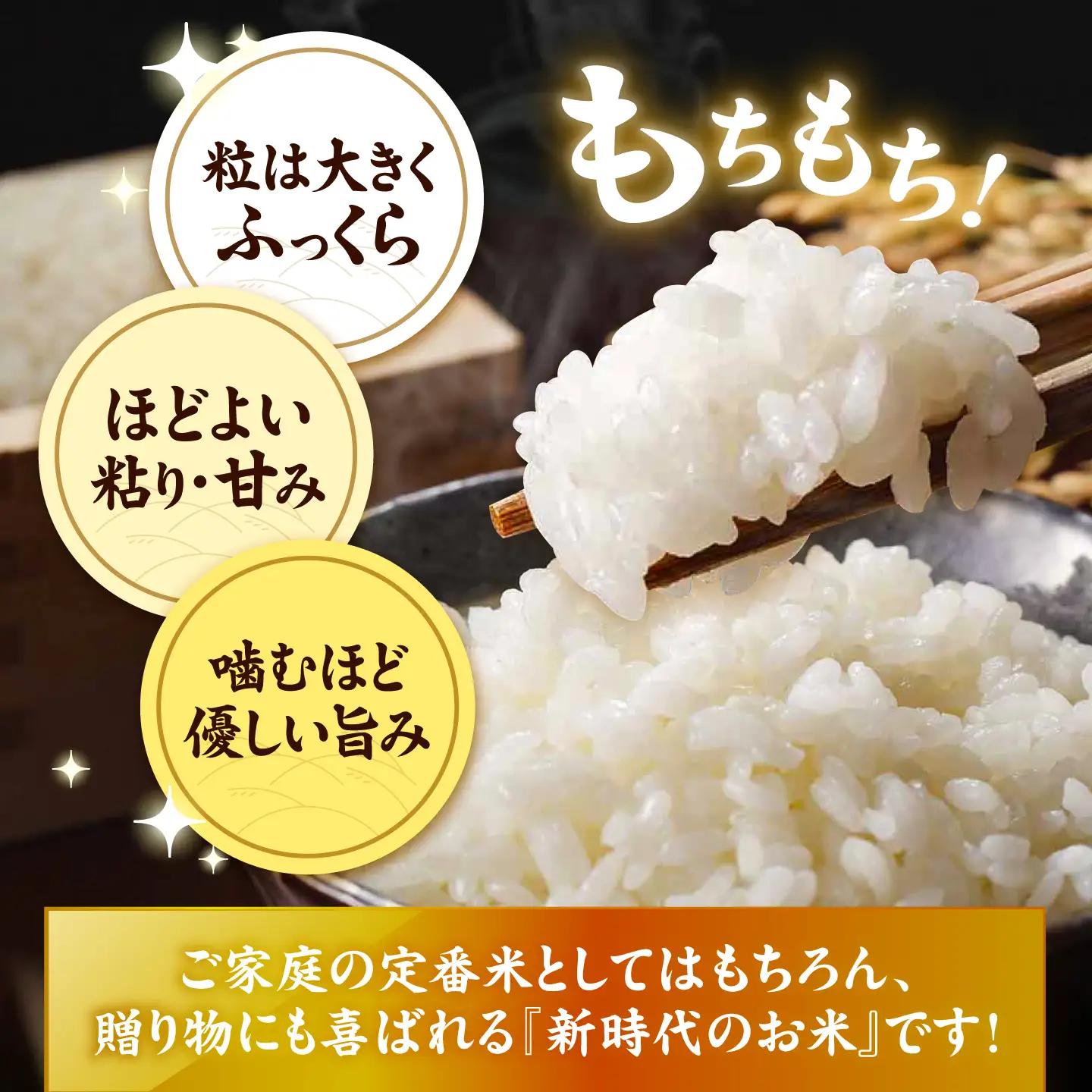 にじのきらめき 白米 10kg【配達不可：離島】/ 脇野コンバイン[AECP040-05]