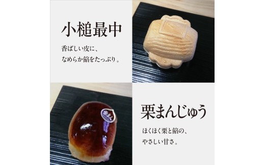 銘菓の集い 松（5種計21個） [ スイーツ 和菓子 詰め合せ ][047-a002] 銘菓の集い 松（5種計21個）