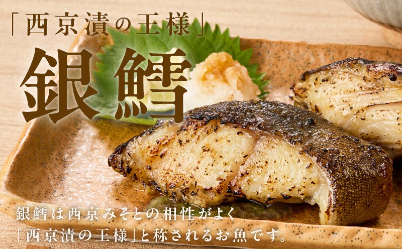 G5625 【定期便】銀鱈 西京漬け 80g×20切れ 全3回【小分け 熟成 銀だら ぎんだら ギンダラ 海産物 魚 惣菜 西京焼き 味噌 お酒のあて 訳あり サイズ不揃い 切り落とし】