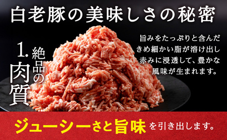 【定期便 6カ月】 北海道産 白老豚 ハンバーグ 120ｇ×15個 セット BV035