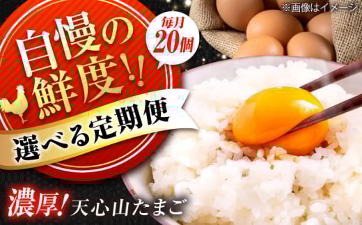 天心山　たまご20個　【回数が選べる定期便】卵 たまご 高級 食品 たまごかけご飯 卵かけご飯 卵焼き 生卵 濃厚 ケーキ お菓子 づくり ランキング 上位 人気 おすすめ 定期便　広島県福山市/天心山ファーム [BABW020]