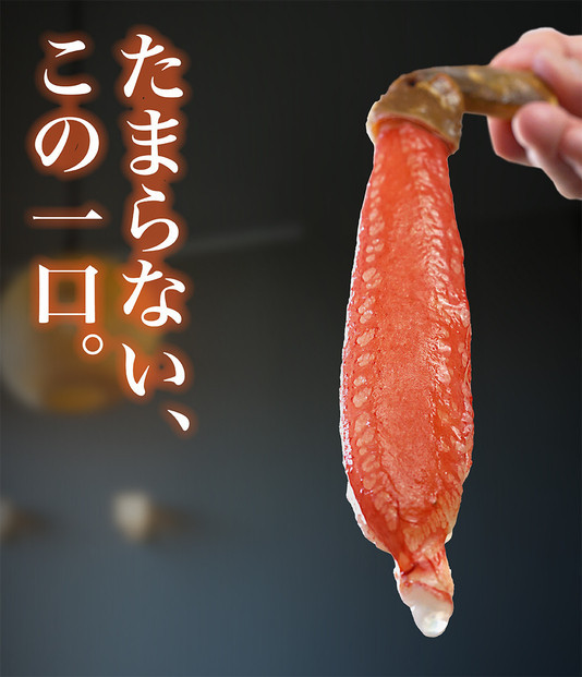 生ズワイガニ ポーション 太脚だけ 肩肉無し 500g 生食OK 折れ品 ＜福岡市内製造＞