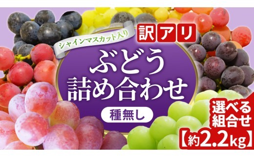 
                  ＼訳あり ご家庭用／ 2026年産 ぶどう 食べ比べ 「シャインマスカットと旬の大粒ぶどうの詰合せ」3~5房 種なし品種 選べる 種類 内容量【農家さんおまかせ・直送】 ブドウ 葡萄 フルーツ 果物 旬 わけあり 先行予約 食べ比べ (DM004/006)
                