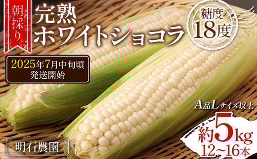 ＜朝採り＞ 完熟ホワイトショコラ 明石農園 糖度18度 約5kg とうもろこし 山形県産 A品 Lサイズ以上 《先行予約2025年度7月中旬頃発送開始》  とうきび トウキビ トウモロコシ コーン 野菜 食品 山形県 FSY-1295