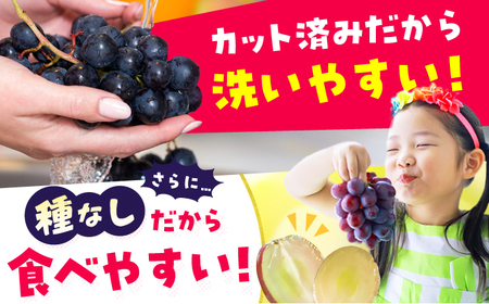 【★先行予約★ 2025年7月下旬より発送】【ご家庭用】種無し巨峰　約350g×4パック / ぶどう ぶどう ぶどう ぶどう ぶどう[AFAB086]
