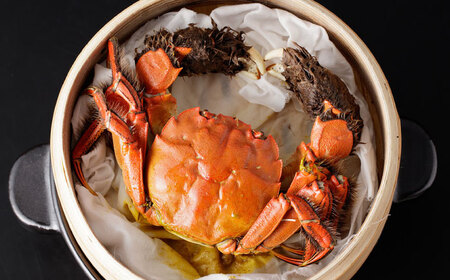 【先行予約】清流鏡川産ツガニ 〈2025年9月から発送〉【土佐の廣丸】 [ATAL002]